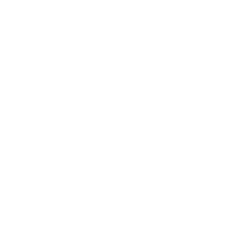 logo-Wizz