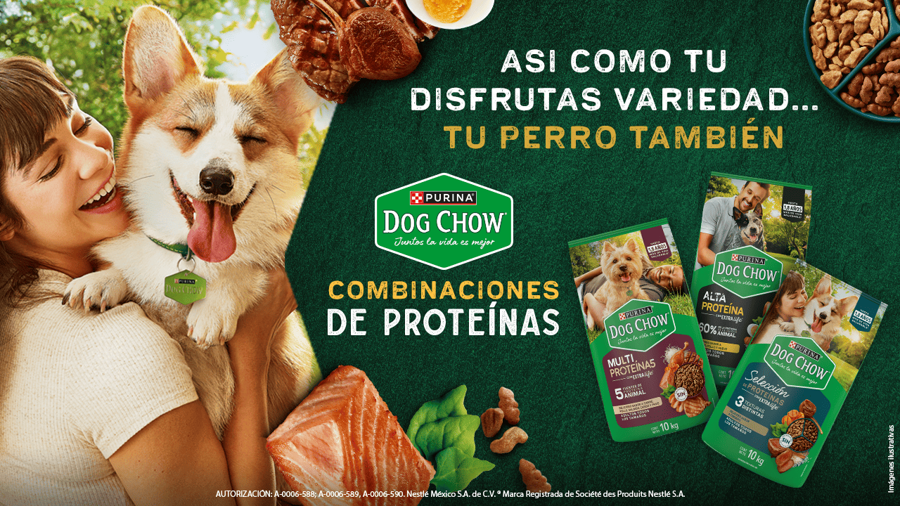 Dog Chow