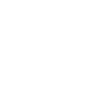 logo-Sally Hansen