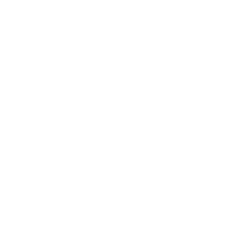 logo-SKYN
