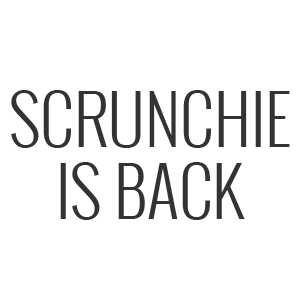 logo-Scrunchie is back