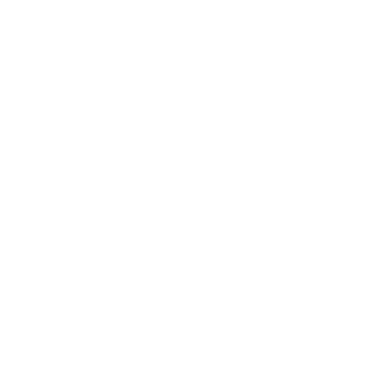 logo-Cerruti