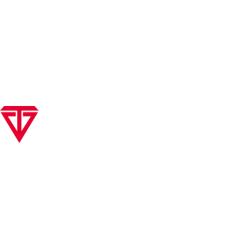 logo-Verytoon