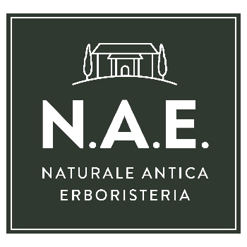 logo-N.A.E.