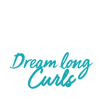 logo-Elseve Dream Long Curls