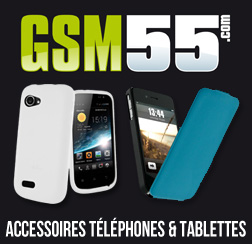logo-GSM 55