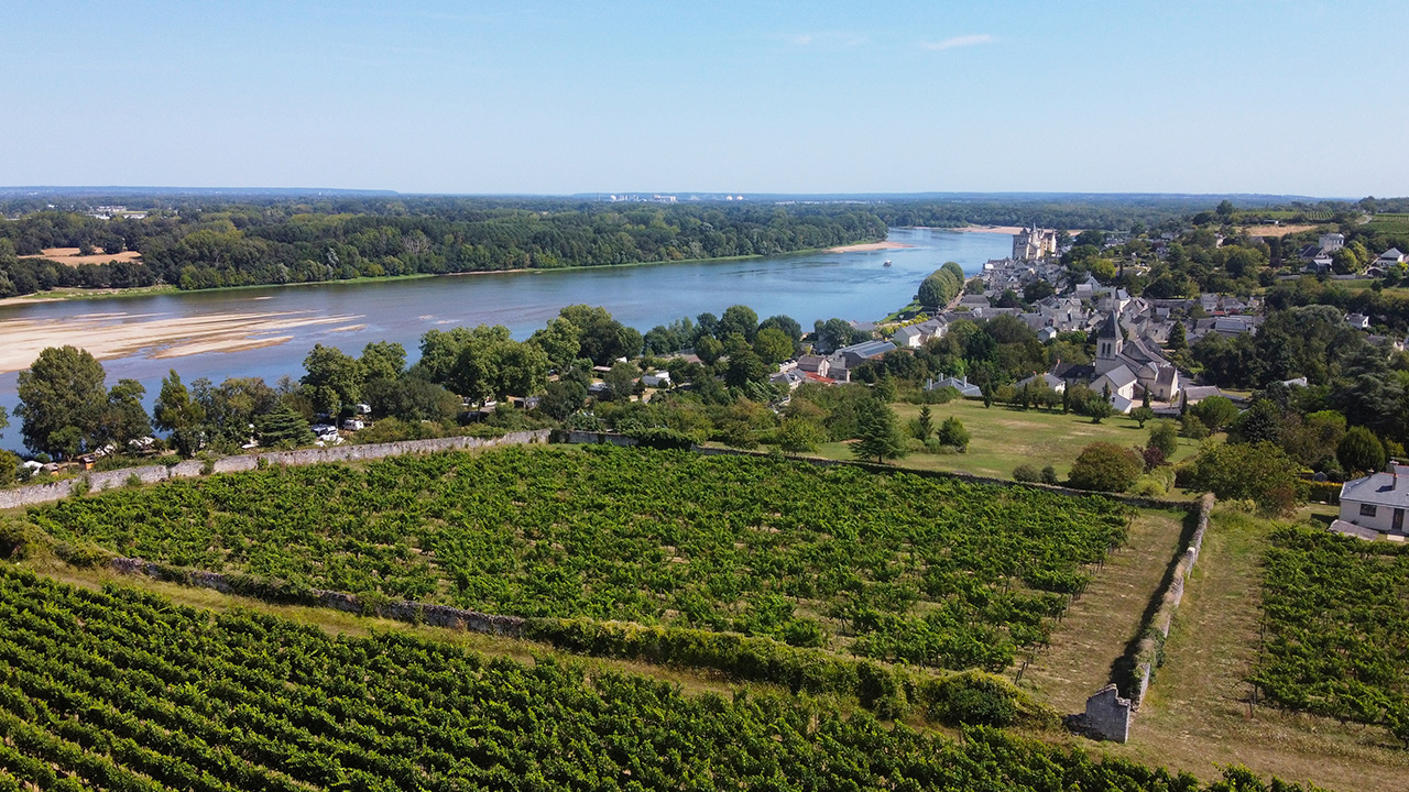Vins de loire
