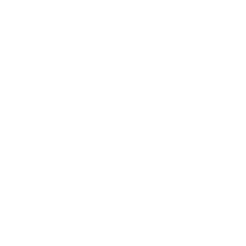 logo-Carryboo