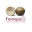 logo-Feniqia